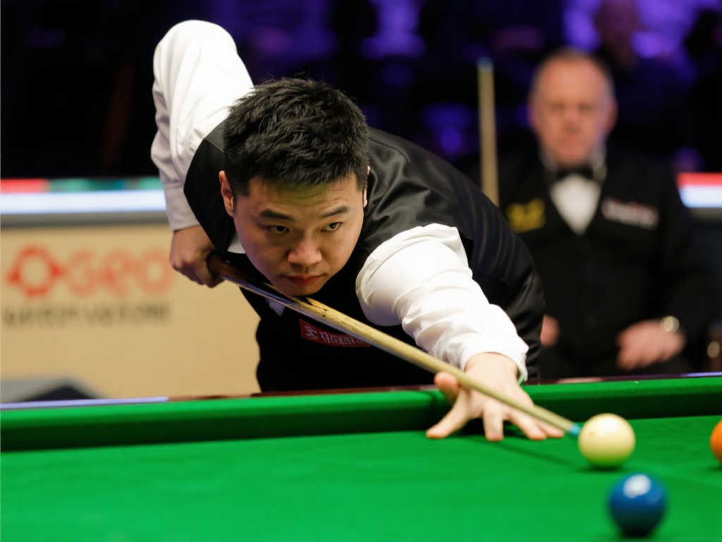 的评价都不 的评价都不