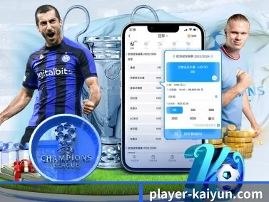 开云体育 APP - kaiyun sports app